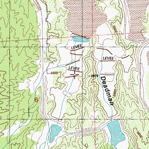 Topographic Map of Ridout Ranch, NM