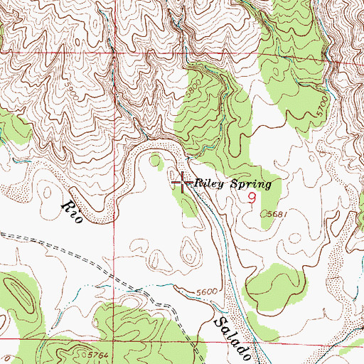 Topographic Map of Riley Spring, NM