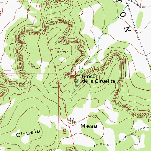 Topographic Map of Rincon de la Ciruelita, NM