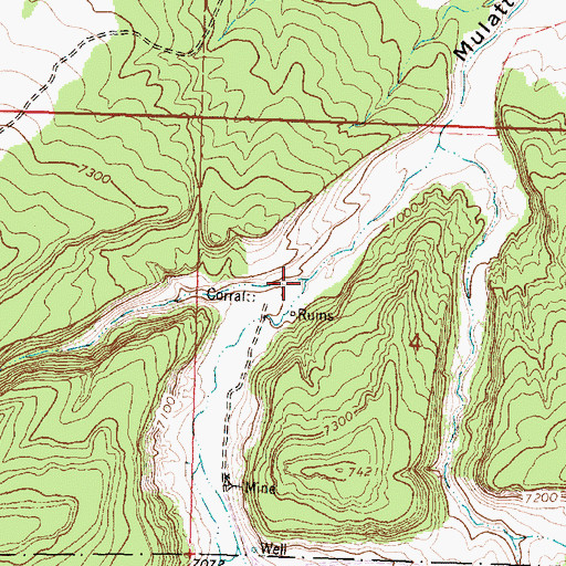 Topographic Map of Rincon de la Gorda, NM