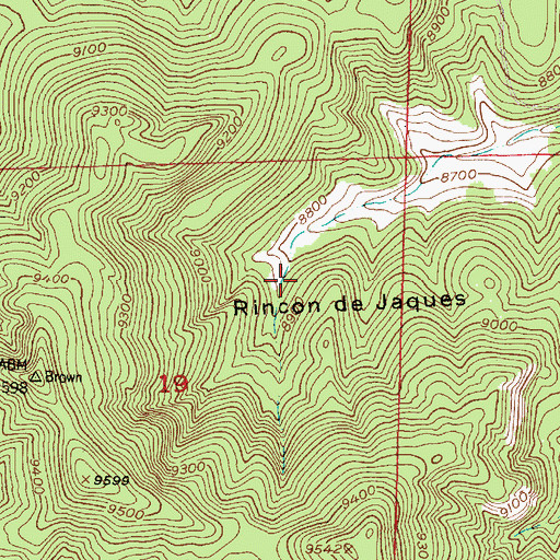 Topographic Map of Rincon de Jaques, NM