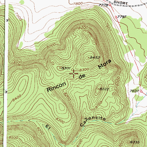 Topographic Map of Rincon de Mora, NM