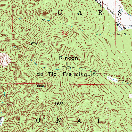 Topographic Map of Rincon de Tio Francisquito, NM