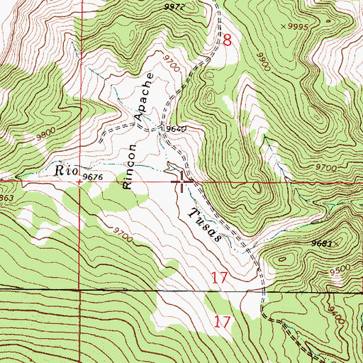 Topographic Map of Rincon Apache, NM