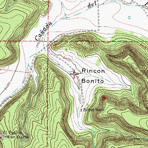 Topographic Map of Rincon Bonito, NM