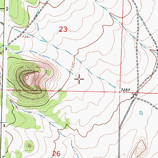 Topographic Map of Rincon Draw, NM