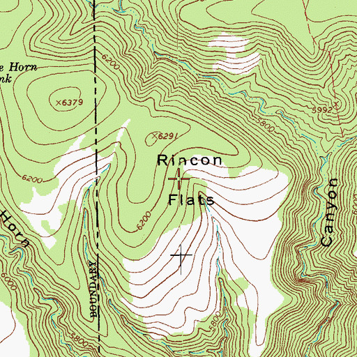 Topographic Map of Rincon Flats, NM