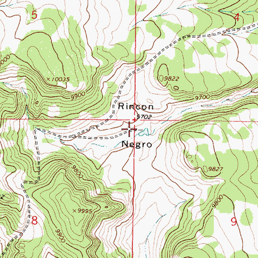 Topographic Map of Rincon Negro, NM