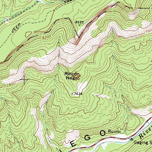 Topographic Map of Rincon Negro, NM