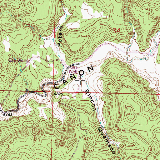 Topographic Map of Rincon Quemado, NM