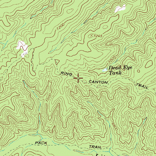 Topographic Map of Ring Canyon Trail, NM