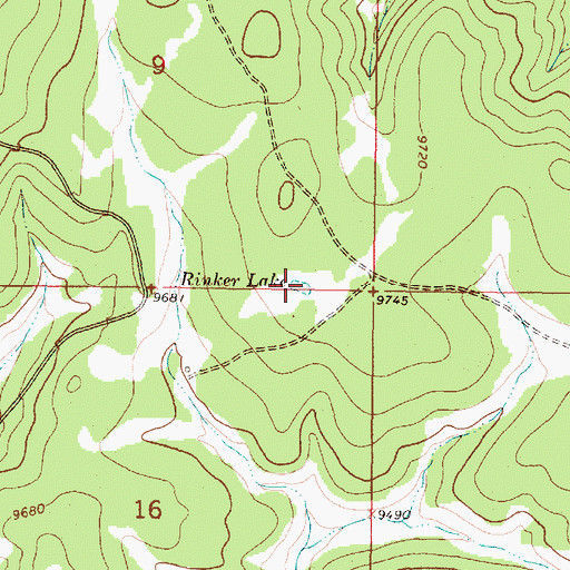 Topographic Map of Rinker Lake, NM