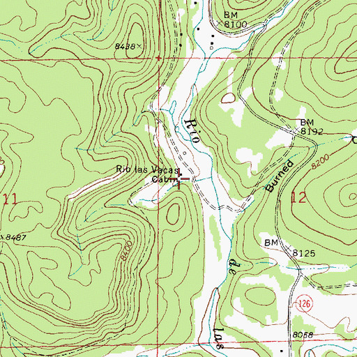 Topographic Map of Rio las Vacas Cabin, NM