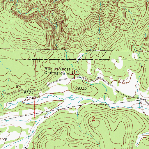 Topographic Map of Rio las Vacas Campground, NM