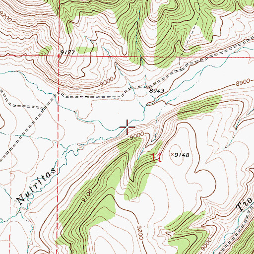 Topographic Map of Rio Nutritas, NM