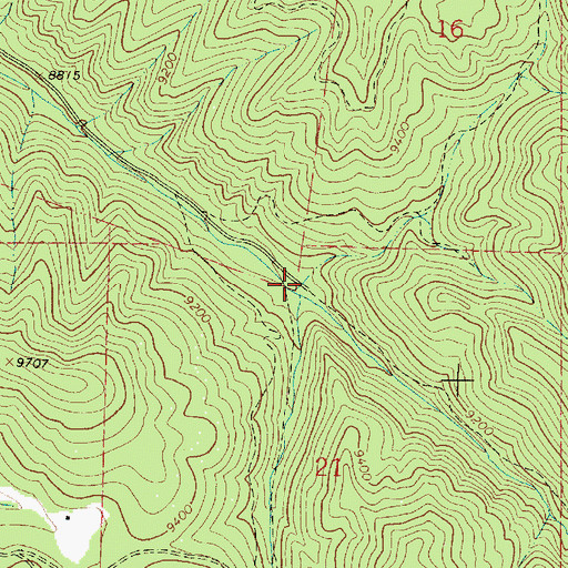 Topographic Map of Rio San Leonardo, NM