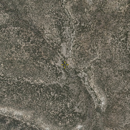 Aerial/Satellite Image of Rita Blanca Spring, NM