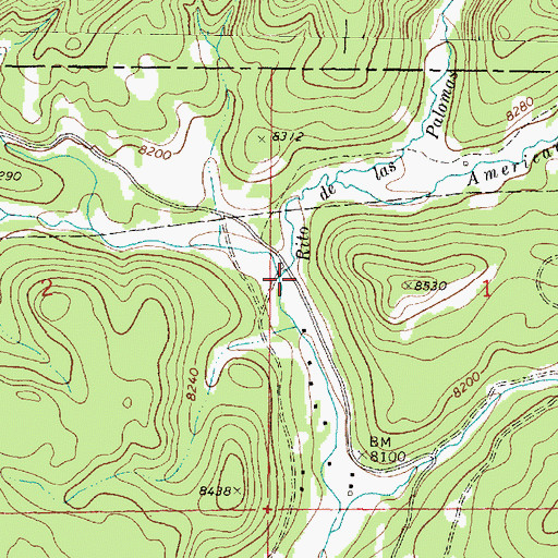 Topographic Map of Rito de las Palomas, NM