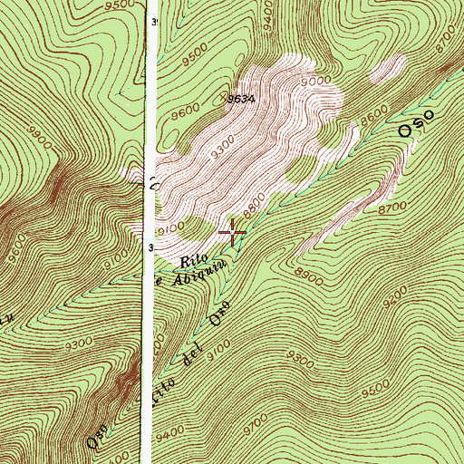 Topographic Map of Rito de Abiquiu, NM