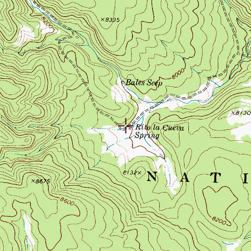 Topographic Map of Rito la Cueva Spring, NM
