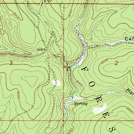 Topographic Map of Rito la Vega, NM