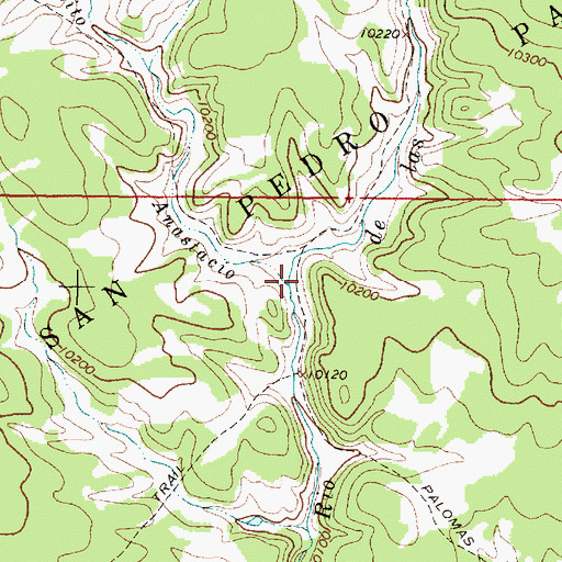 Topographic Map of Rito Anastacio, NM