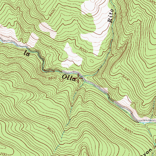 Topographic Map of Rito Osha, NM