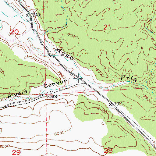 Topographic Map of Rivera Canyon, NM