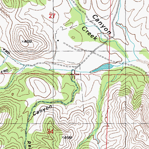 Topographic Map of Road Canyon, NM