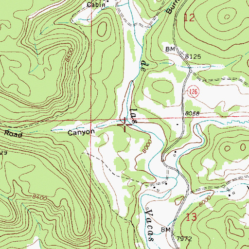 Topographic Map of Road Canyon, NM