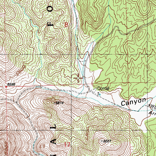 Topographic Map of Road Canyon, NM