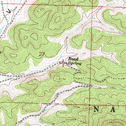 Topographic Map of Road Spring, NM
