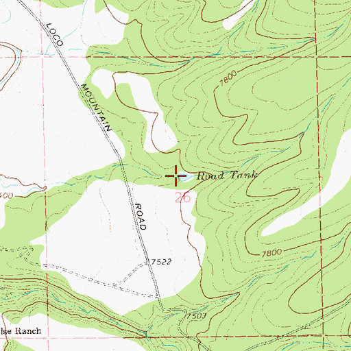 Topographic Map of Road Tank, NM