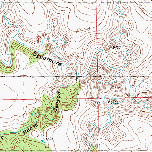 Topographic Map of Rock House Canyon, NM