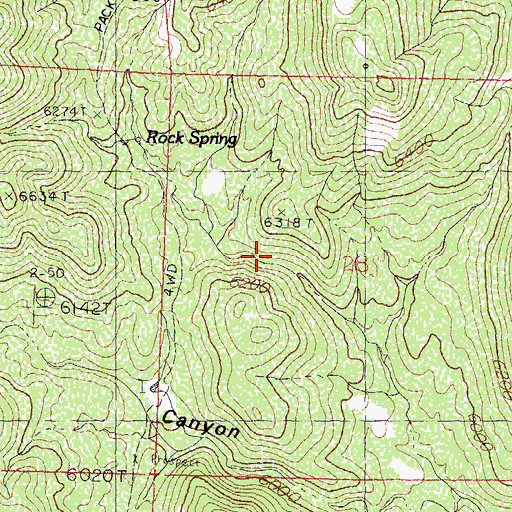 Topographic Map of Rock Spring, NM
