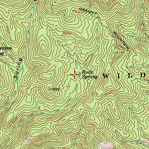Topographic Map of Rock Spring, NM