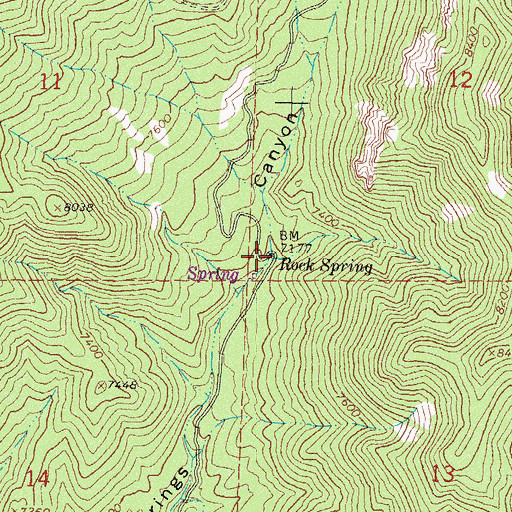 Topographic Map of Rock Spring, NM