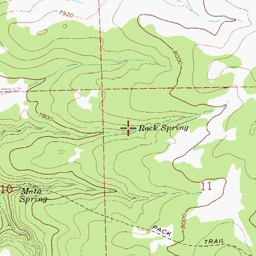 Topographic Map of Rock Spring, NM