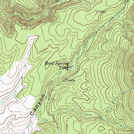 Topographic Map of Rock Spring Tank, NM