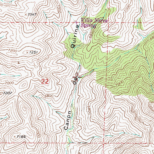 Topographic Map of Rock Springs Canyon, NM
