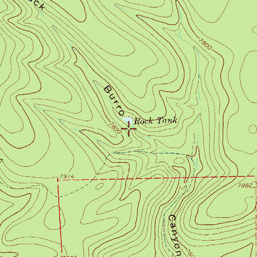 Topographic Map of Rock Tank, NM