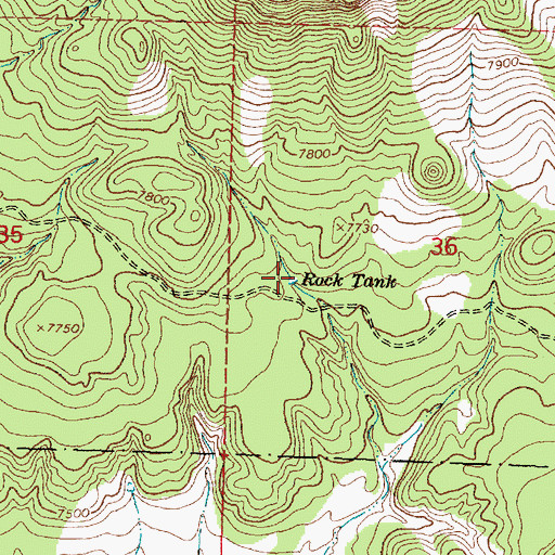 Topographic Map of Rock Tank, NM