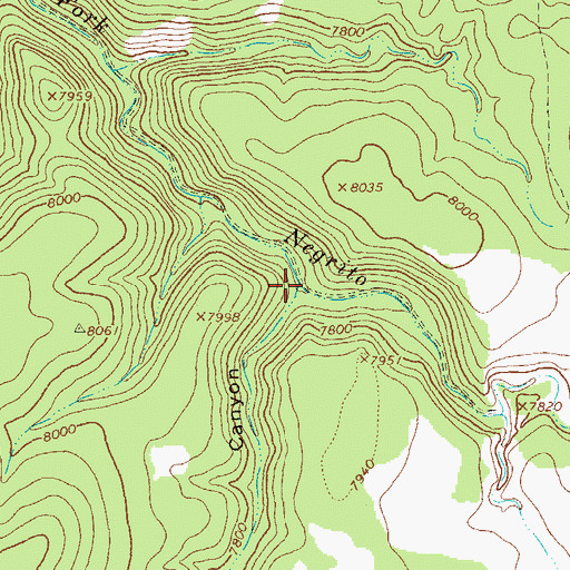 Topographic Map of Rocker Canyon, NM