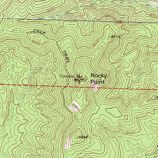 Topographic Map of Rocky Point, NM