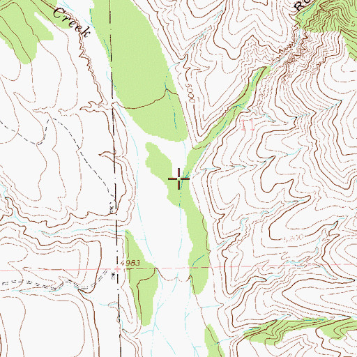 Topographic Map of Rough Canyon, NM