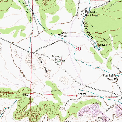 Topographic Map of Roundy Mine, NM