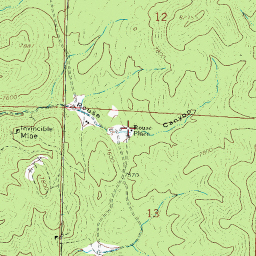 Topographic Map of Rouse Place, NM