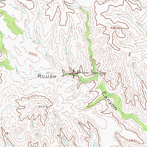 Topographic Map of Rouse Spring, NM