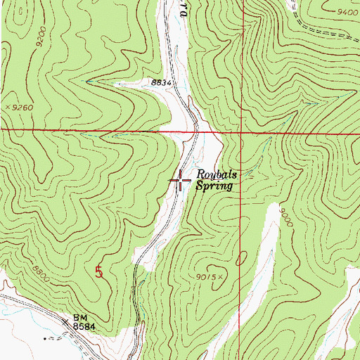 Topographic Map of Roybals Spring, NM