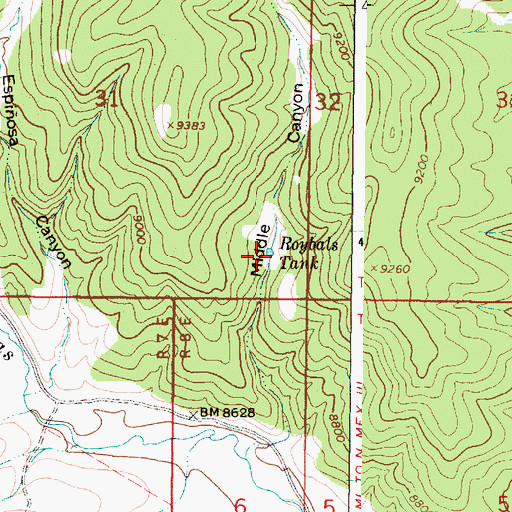 Topographic Map of Roybals Tank, NM